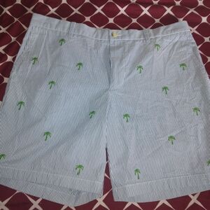 Southern Tode Striped Green Embroidered Men's Shorts Size 40